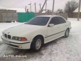 18947874f.jpg