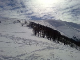 08032011477.jpg