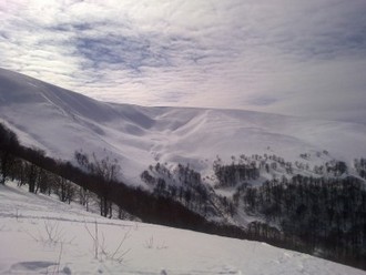 08032011478.jpg