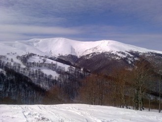 08032011479.jpg