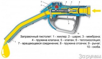 7400083.jpg