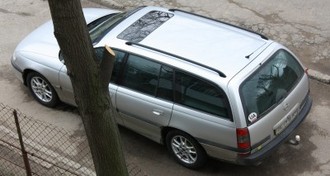 IMG_9767.JPG