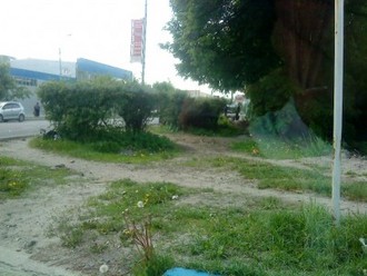 DSC00325.JPG