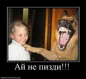 70152_aj-ne-pizdi.jpg