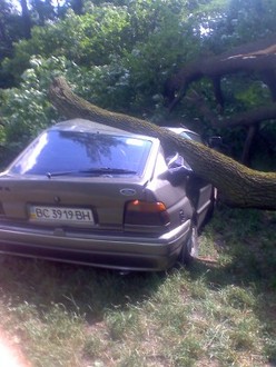 moto_0882.jpg
