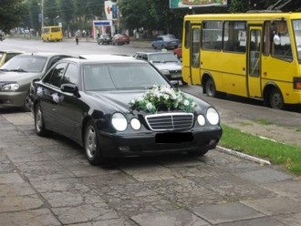 y_4586a0f8.jpg