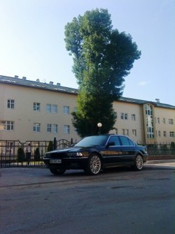 DSC00377.JPG