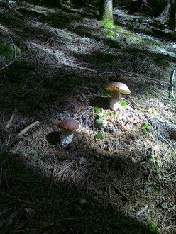 21082011039.jpg