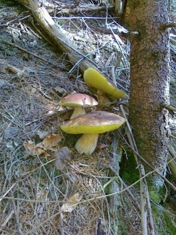 21082011043.jpg