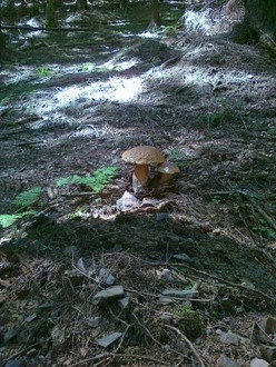 21082011054.jpg