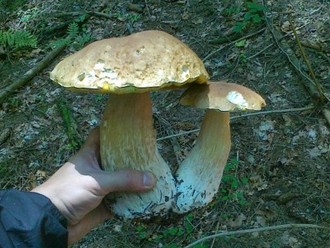 21082011055.jpg