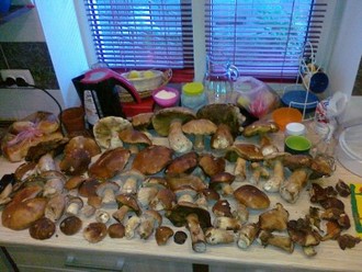 21082011056.jpg