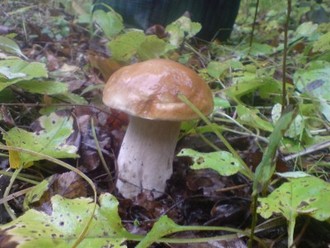 DSC01281.JPG