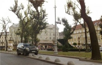 y_af3610cd.jpg