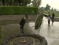 Vinok.gif
