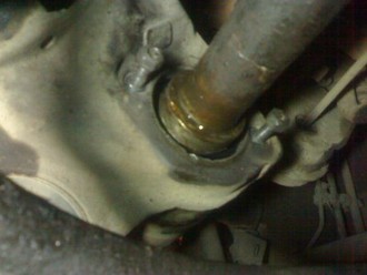 241220111764.jpg