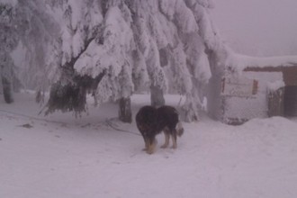 IMAG0032.jpg