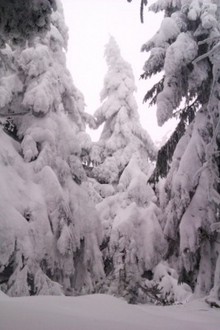 IMAG0034.jpg