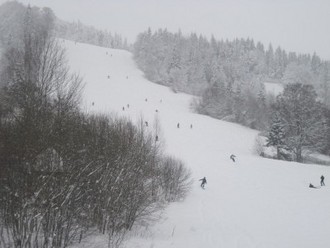 IMG_4810.JPG