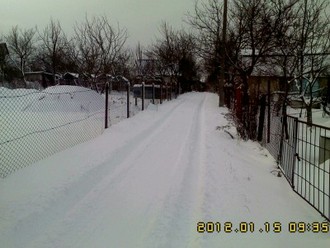 IMG10019.jpg