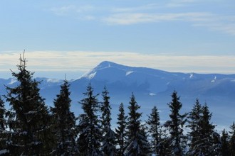 IMG_4202.jpg