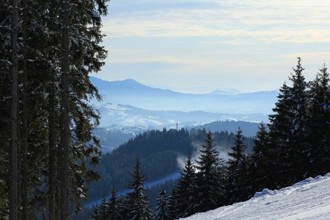 IMG_4200.jpg