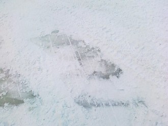 270120121248.jpg