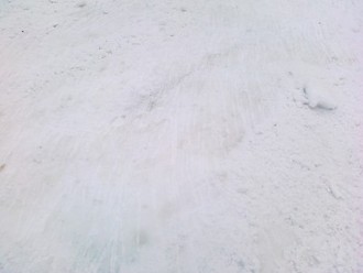 270120121249.jpg