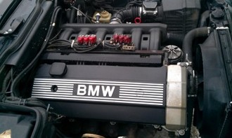 IMAG0048.jpg