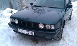 IMAG0050.jpg