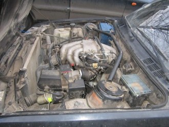 IMG_1238.JPG