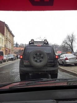 2012-03-21_golden.JPG
