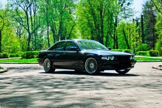 48cef4453ecede9d-large.jpg
