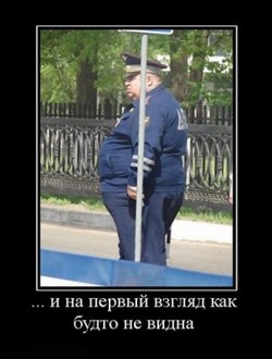 9987525e145a3007b00c8ff184dd2c8fb9ca1e15_1.jpg
