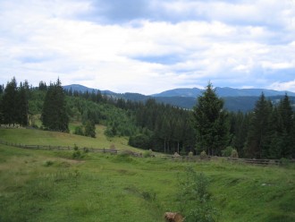 P 099.jpg
