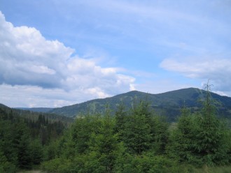 P 013.jpg