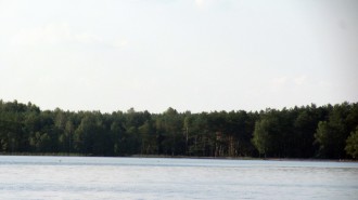 IMG_5681.jpg