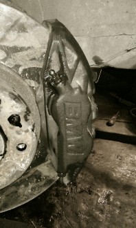 IMAG0010-1-1.jpg