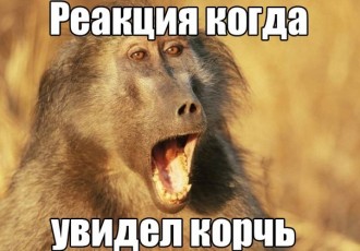 rhwn6xRu34s.jpg