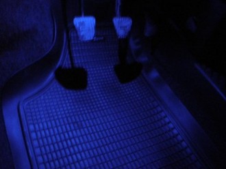P5080003_.jpg