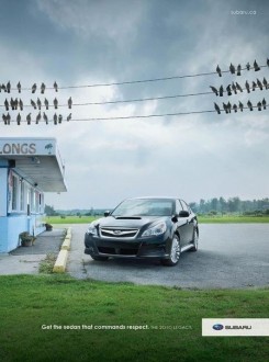 oYecSa6gzS4.jpg