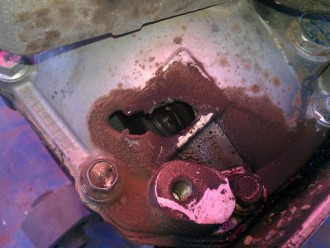 IMAG0956-2.jpg