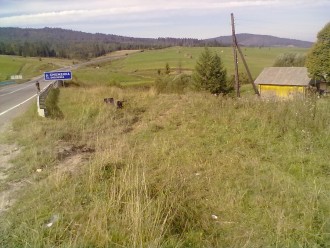 13092012259.jpg