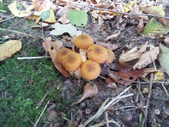 2012-09-26 11.26.13.jpg