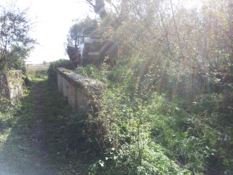 2012-09-26 11.46.52.jpg