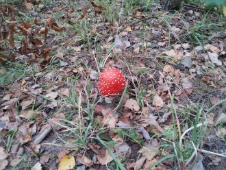 2012-10-01 11.43.31.jpg