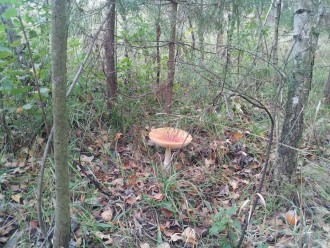 2012-10-01 11.43.56.jpg