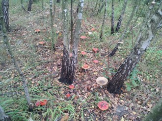 2012-10-01 11.46.17.jpg