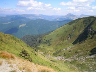 z_114a0cd0.jpg