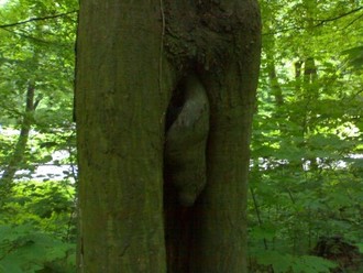 20052007630.jpg